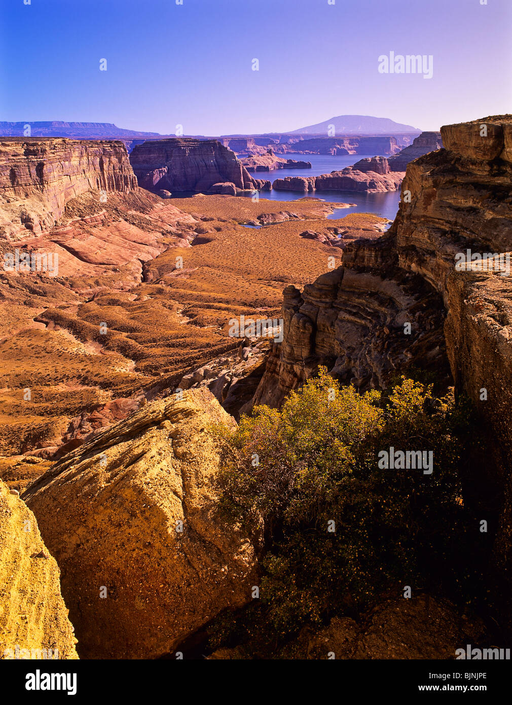 USA, Utah, Glen Canyon NRA. Canyon ci-dessous Romana Mesa mène à Lk Powell Gunsight Bay ; Mt Navajo. Banque D'Images