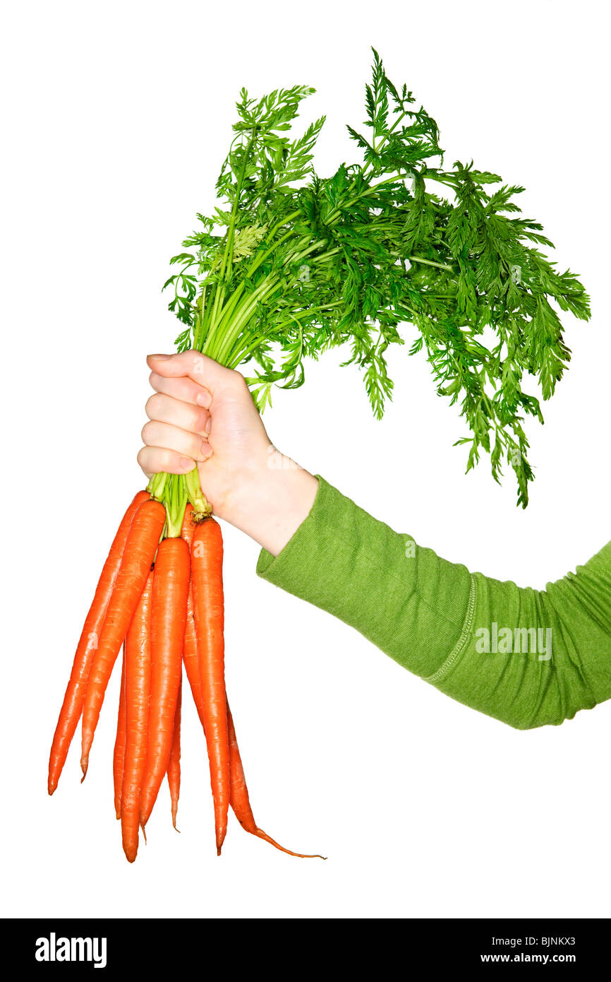 Woman's hand holding bouquet de carottes orange bio frais entier Banque D'Images