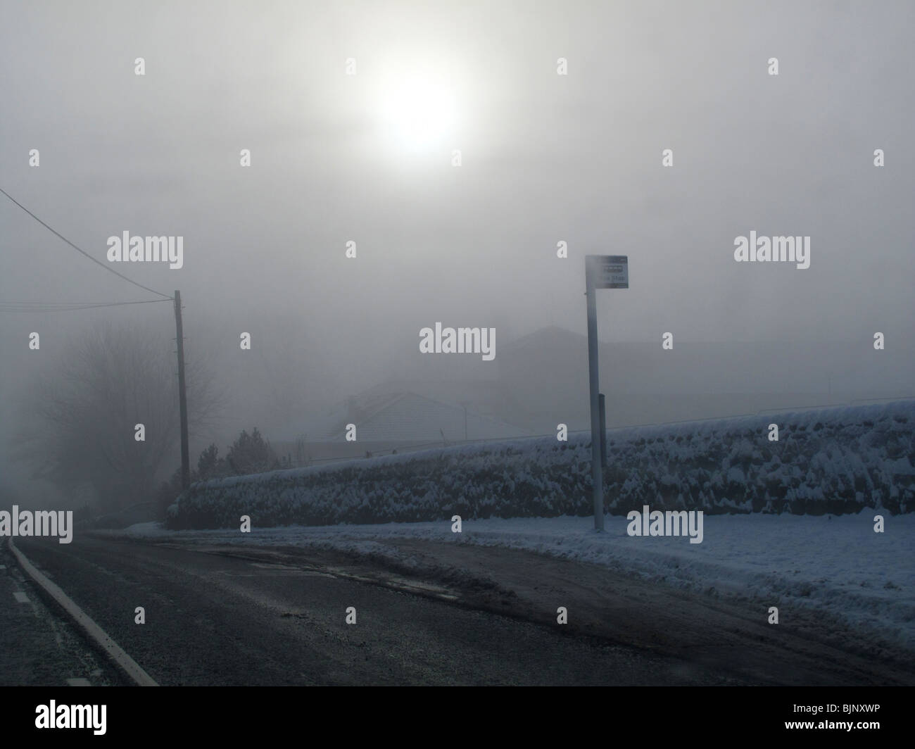 Soleil d'hiver dans le brouillard on snowy road Banque D'Images