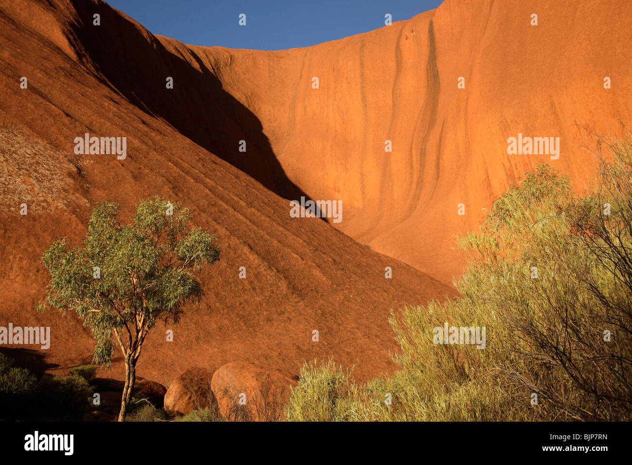 Formation de grès de renommée mondiale, l'Uluru ou Ayers Rock , Territoire du Nord, Australie Banque D'Images