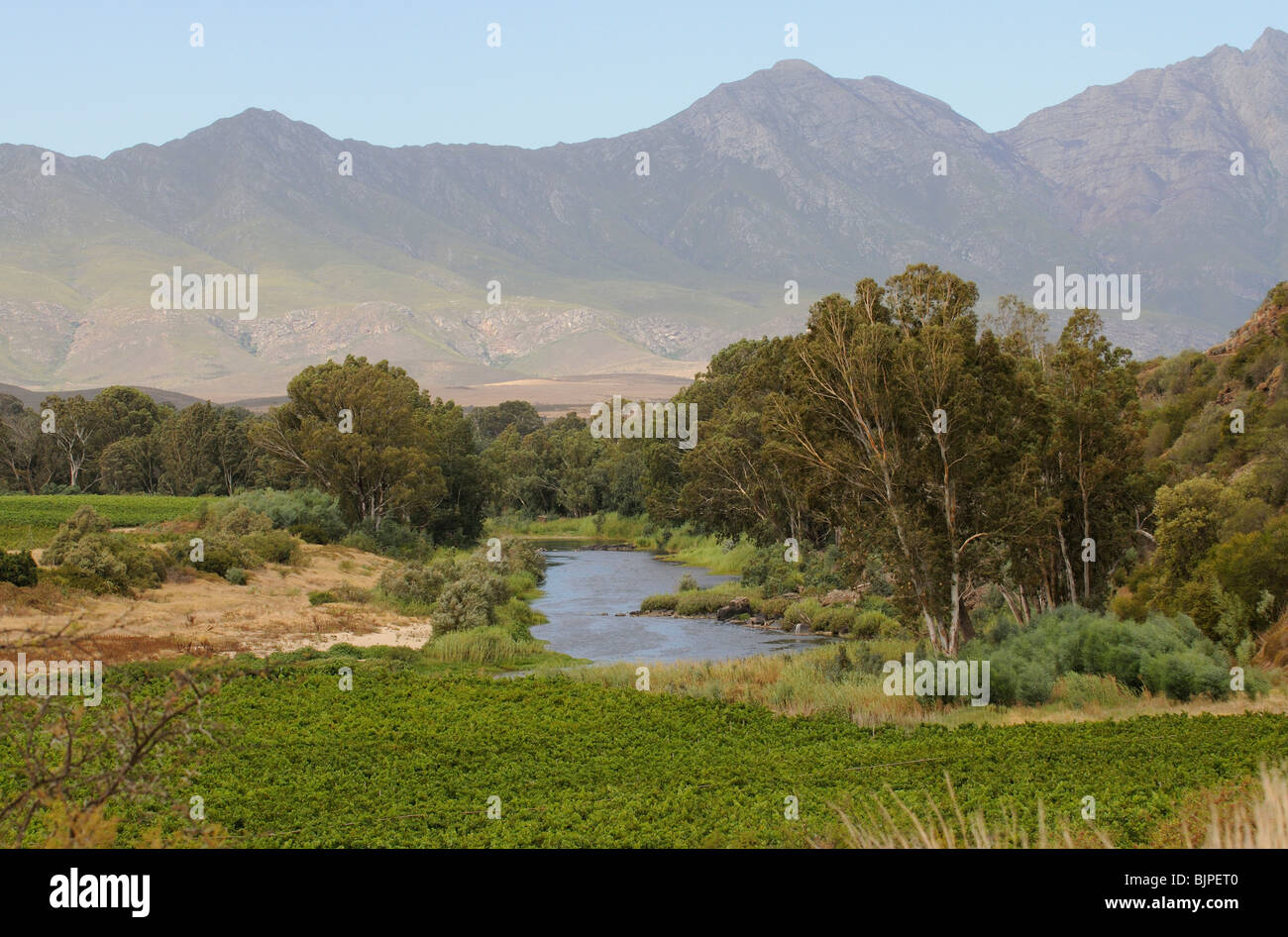 Breede River et la Riviersonderend Mountains une zone de production de vin près de Robertson à Western Cape Afrique du Sud Banque D'Images