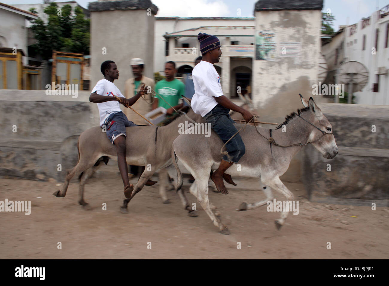 Un cavalier sur son âne pendant la course annuelle qui a lieu au cours de Maulidi, Lamu Kenya Banque D'Images