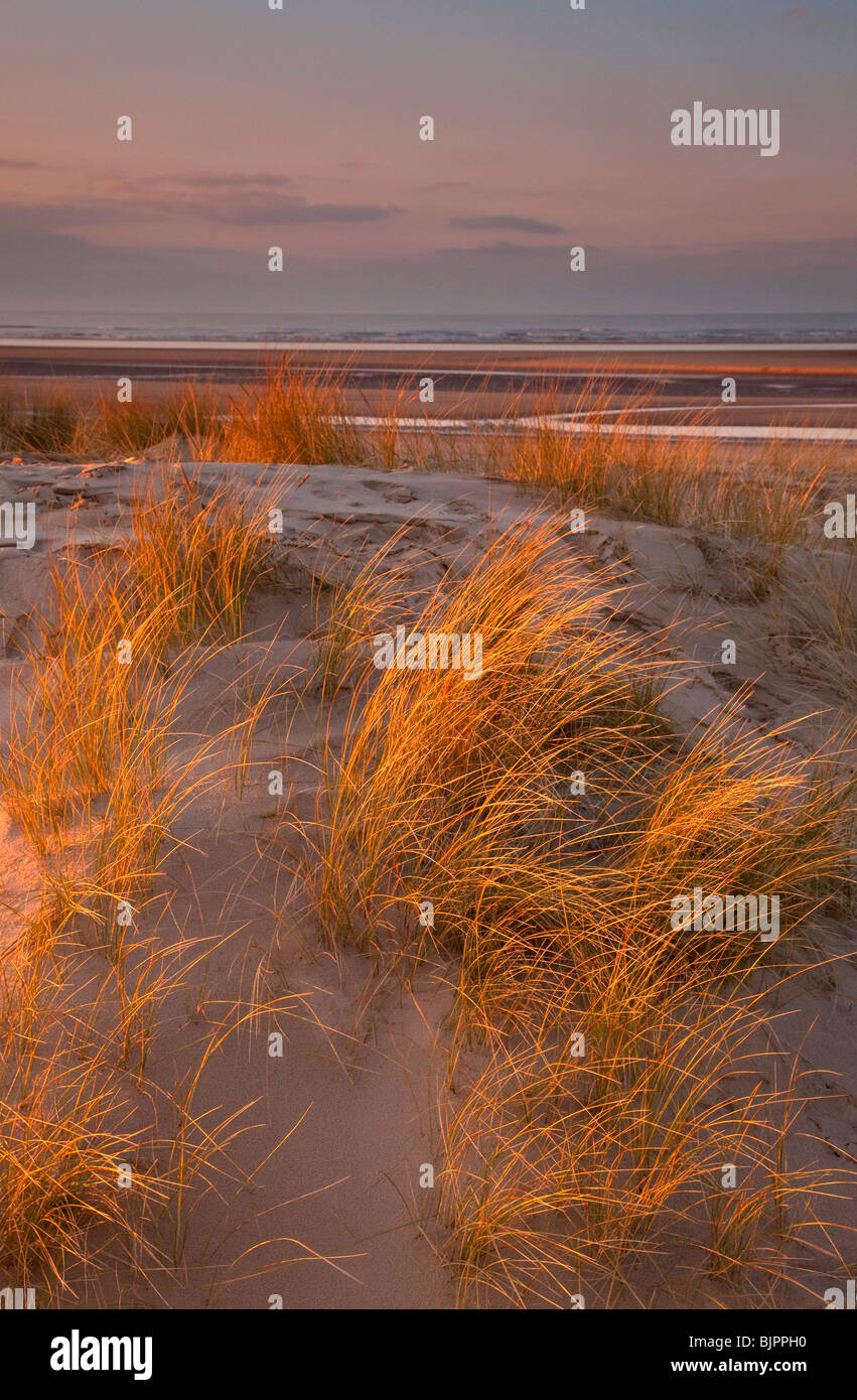 Dunes de sable et mer à Holkham beach en fin d'après-midi, Norfolk, Angleterre Banque D'Images