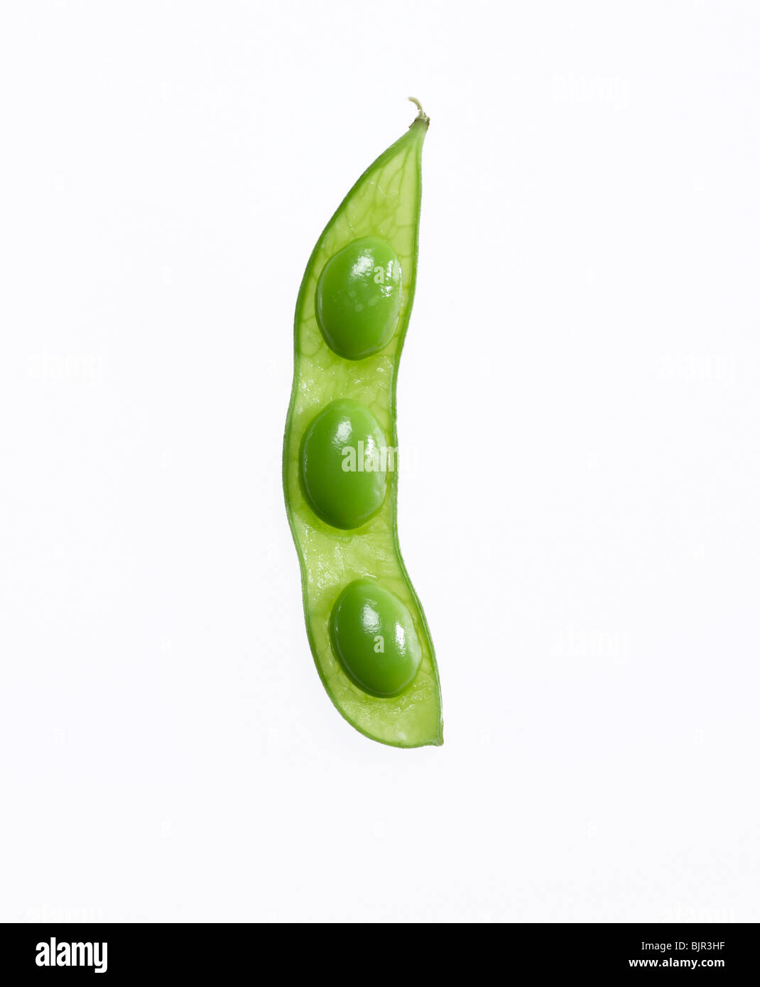 Le soja et le pod Banque D'Images