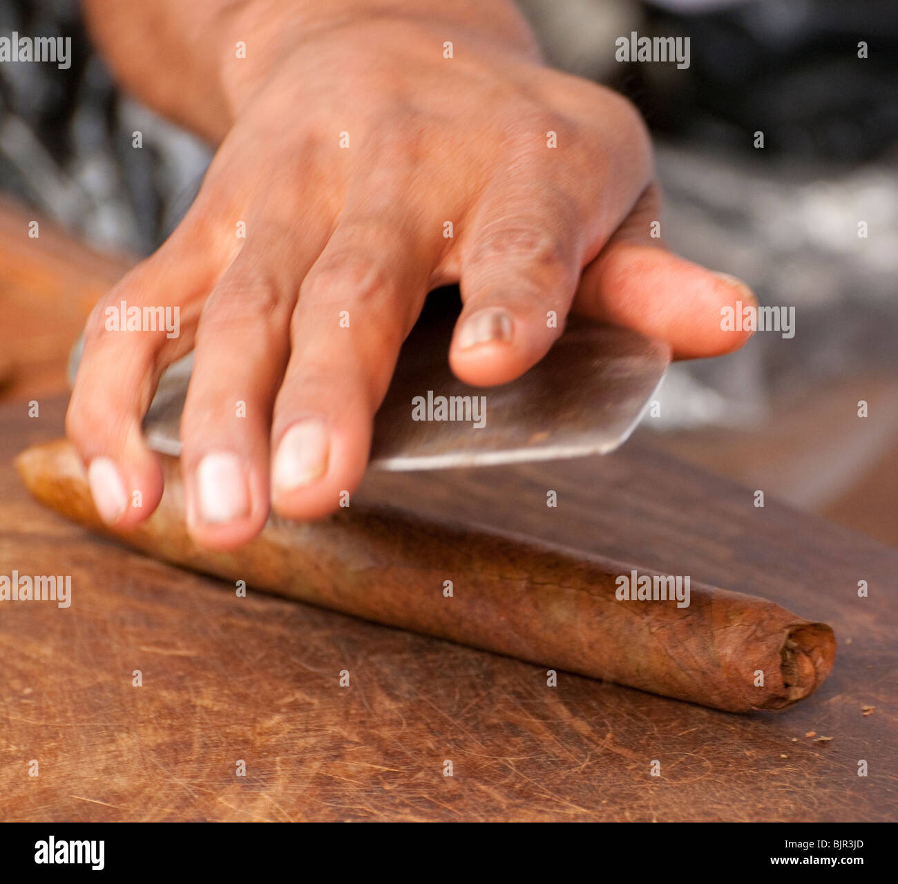 Le Mexique, Playa Del Carmen, l'homme fait main glissant de cigares premium sur la Cinquième Avenue à cigar store. Banque D'Images