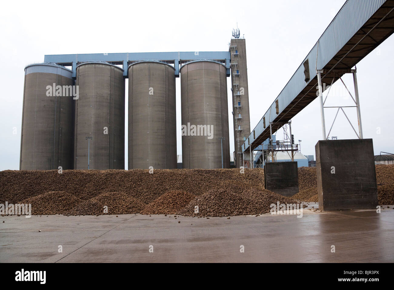 Les silos de stockage de sucre à l'usine de sucre britannique Banque D'Images