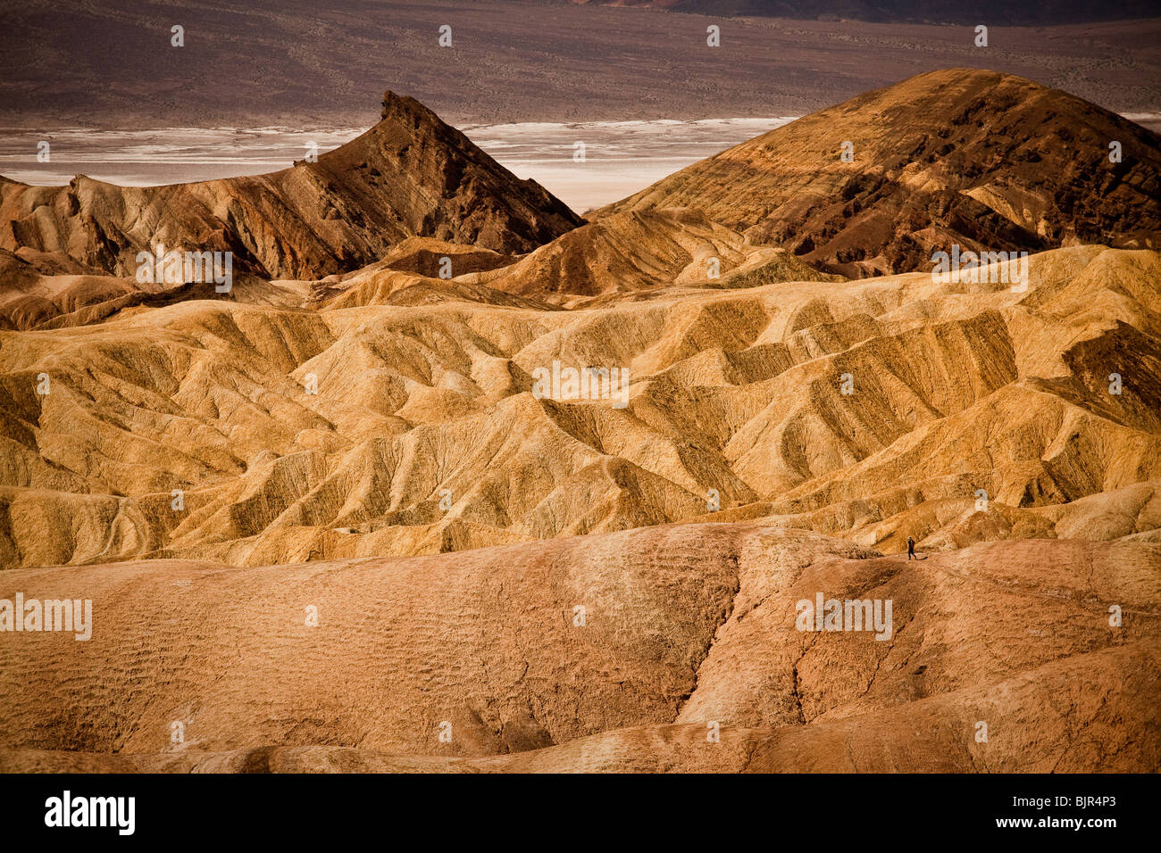 Randonneur à l'badlands à Zabriskie Point à pour Golden Canyon dans la Death Valley National Park, California, USA. Banque D'Images