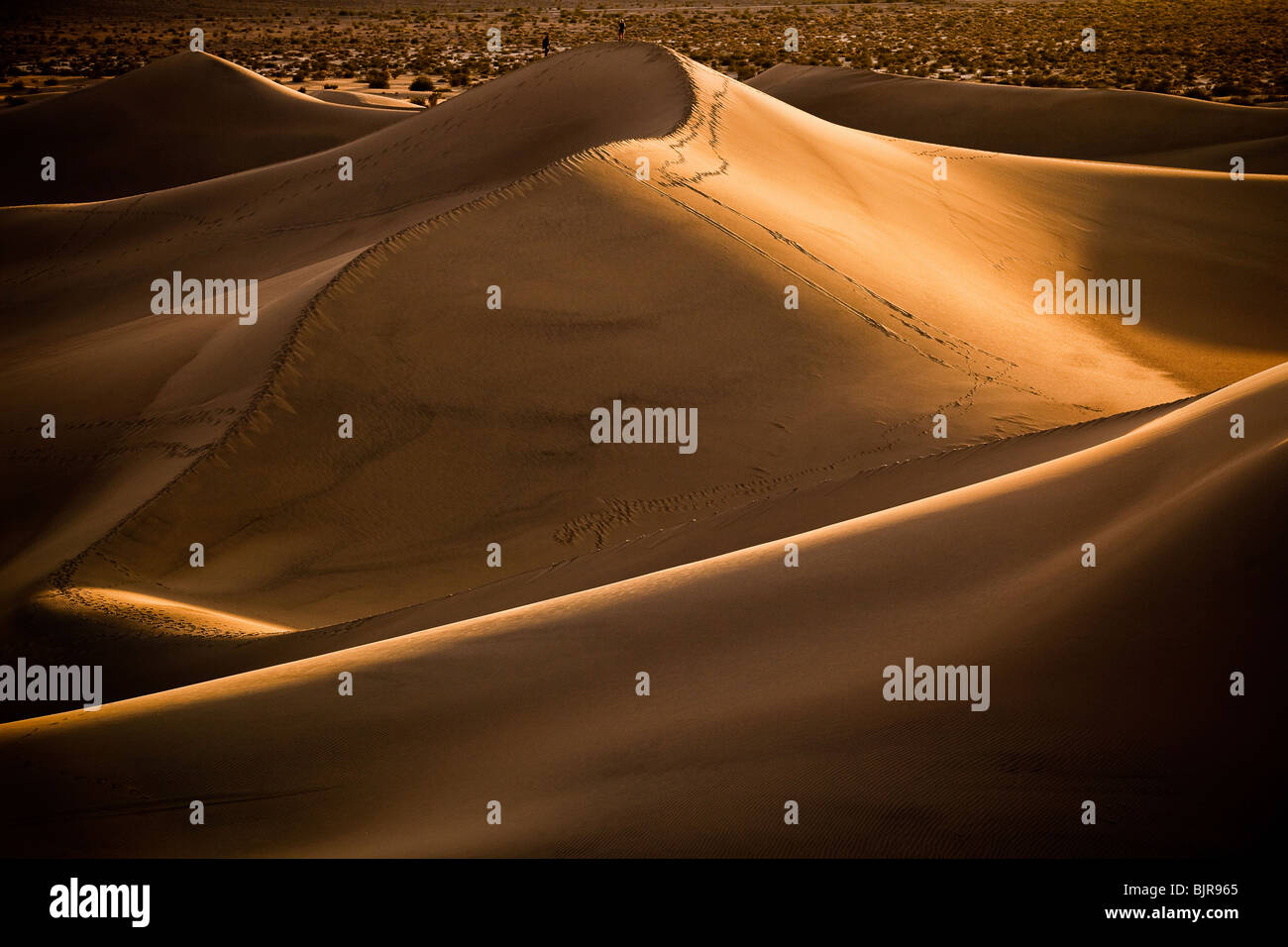 Dunes de sable de Stovepipe Wells dans Death Valley National Park, California, USA. Banque D'Images