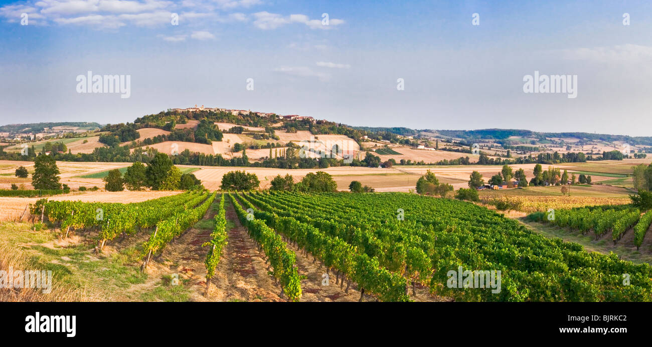 Vignoble dans le sud-ouest de la France avec la ville de Lauzerte sur la colline en Tarn et Garonne Région, France, Europe - la fin de l'après-midi Banque D'Images
