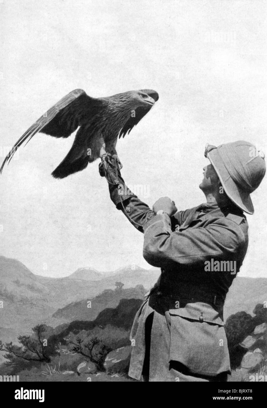 Un officier britannique avec un apprivoisé golden eagle, Salonique, Grèce, Première Guerre mondiale, 1914-1918, (c1920). Artiste : Inconnu Banque D'Images