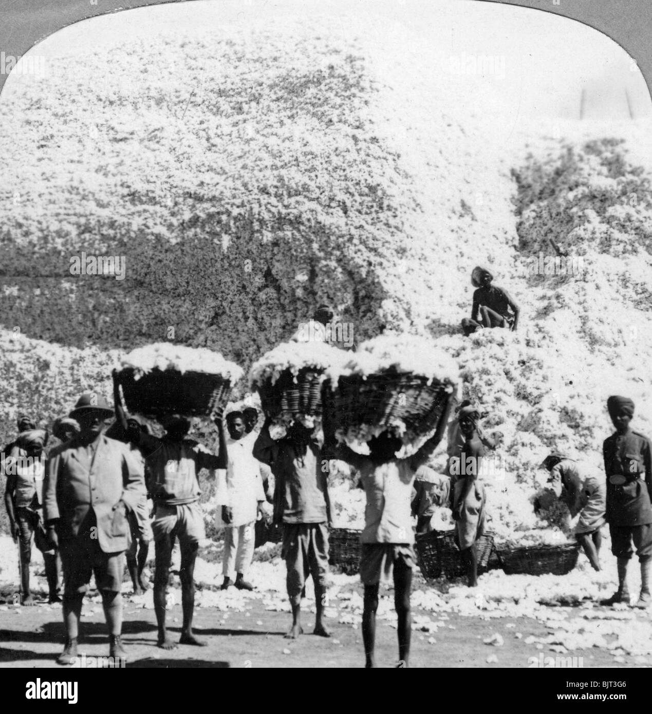 Les hommes portant des paniers de coton à un coton de Indore, Inde, 1900. Artiste : Inconnu Banque D'Images