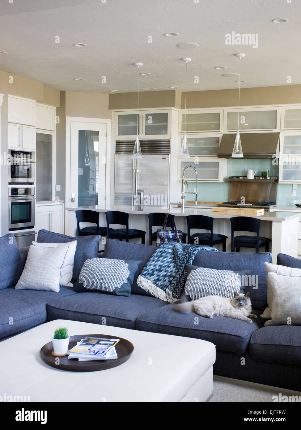 USA, Utah, Provo, Cat relaxing on sofa in luxury home Banque D'Images