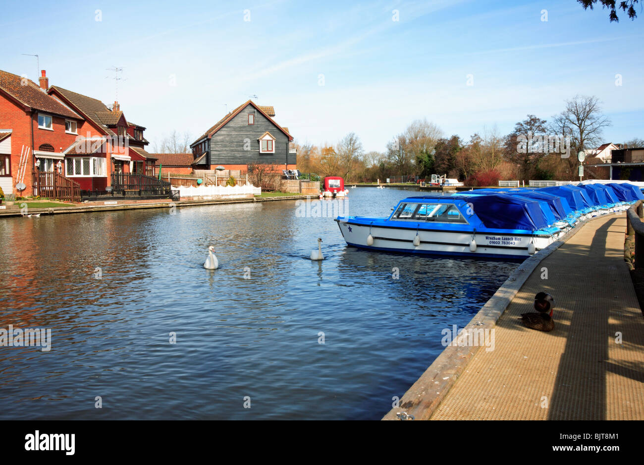 La location de bateaux sur la rivière Bure en amont du pont de Wroxham, Norfolk, Angleterre, Royaume-Uni. Banque D'Images