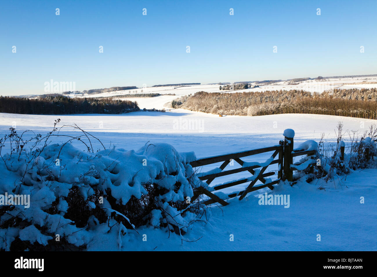 Neige de l'hiver sur les Cotswolds au NE de Turkdean de Broadwater bas près de Farmington, Gloucestershire Banque D'Images