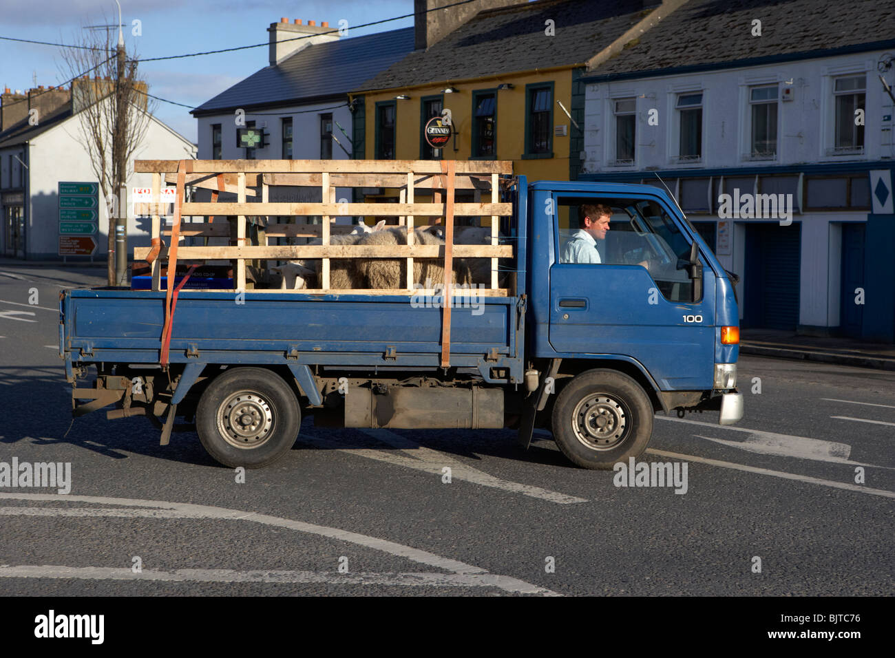 Agriculteur irlandais déménagement petit nombre de moutons dans un hiace van grâce à Charlestown (comté de Mayo) République d'Irlande Banque D'Images