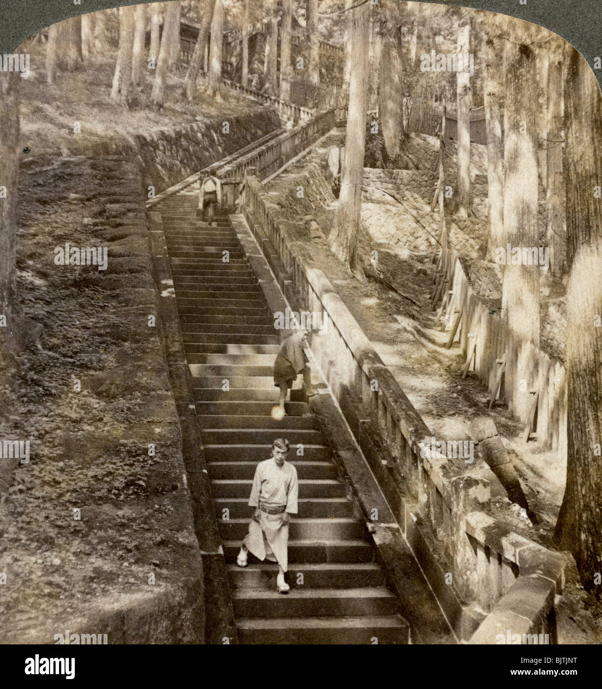 Ancien escalier de pierre jusqu'à la colline de la tombe du shogun Ieyasu, Nikko, Japon, 1904.Artiste : Underwood & Underwood Banque D'Images