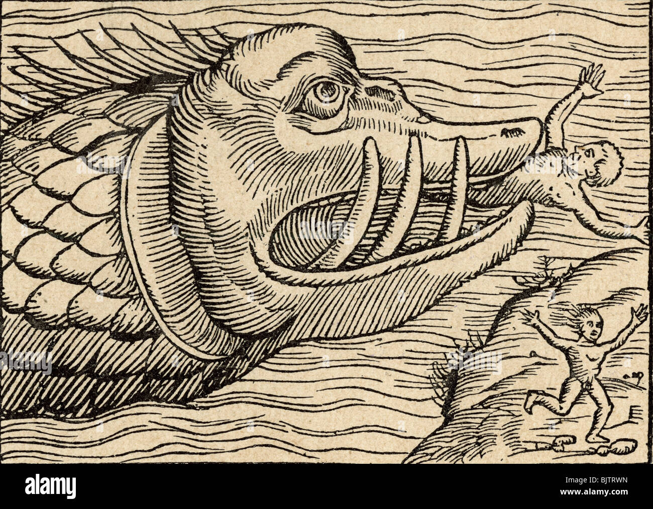 Zoologie, créature mythique, monstre de mer mangeant des gens, boisé de 'Cosmographia', par Sebastian Muenster, 1550, Banque D'Images