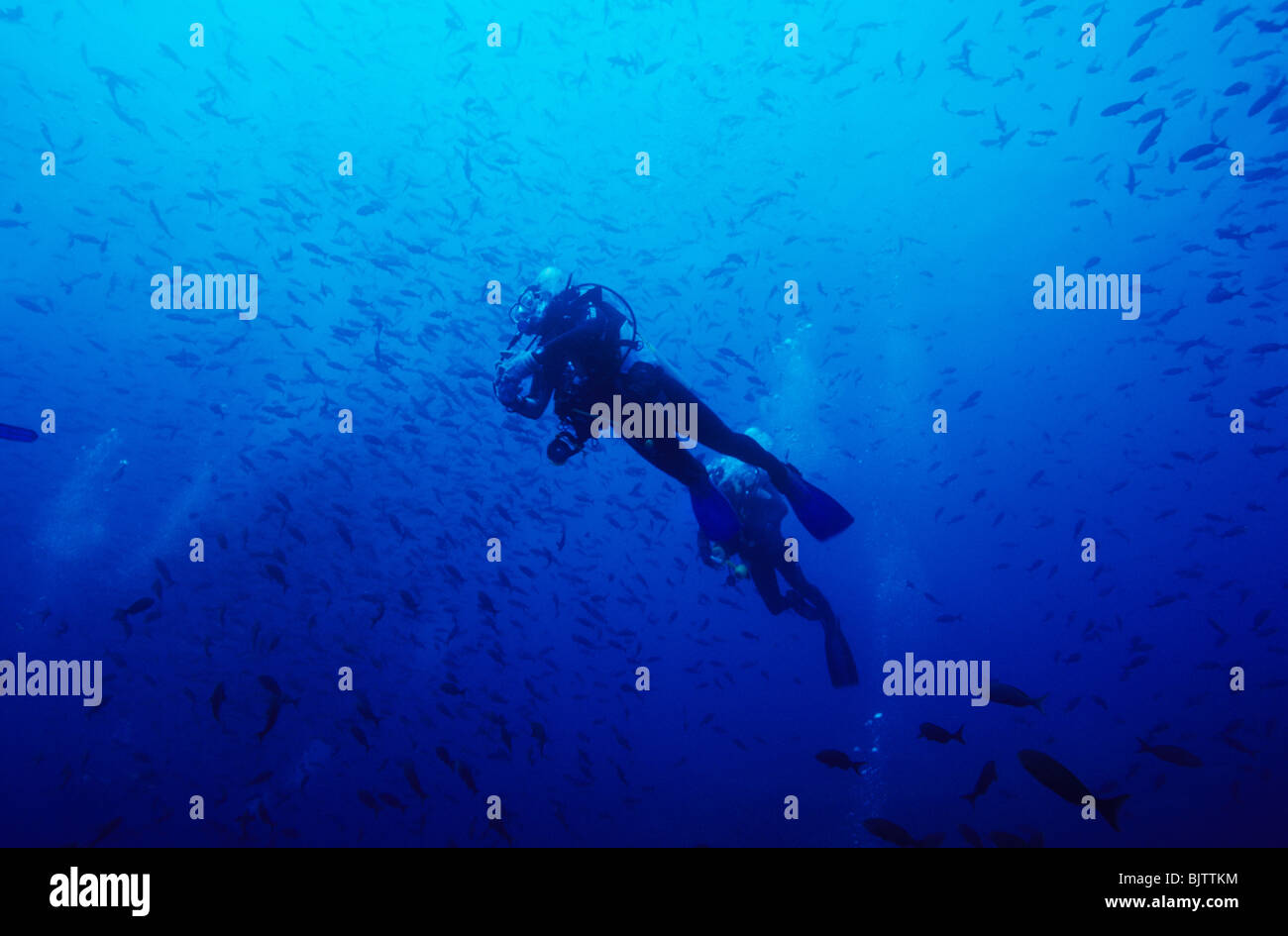 Les amateurs de plongée sous-marine dans les frais généraux, l'alignement de l'océan au large des îles Galapagos. Banque D'Images