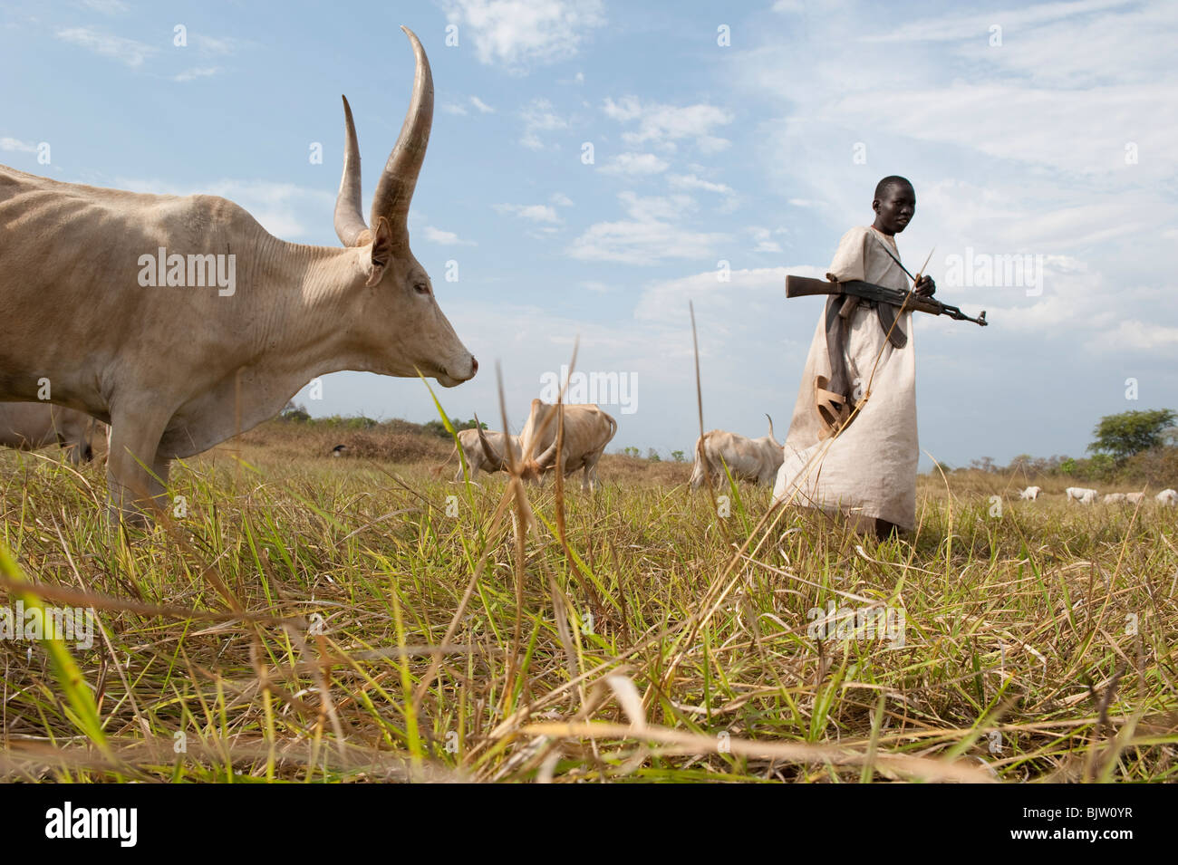 Au sud-Soudan, Cuibet près de Rumbek , tribu Dinka, Shepherd armés de Kalachnikov AK-47 protéger leurs vaches zébu bovins hostile de raider Banque D'Images