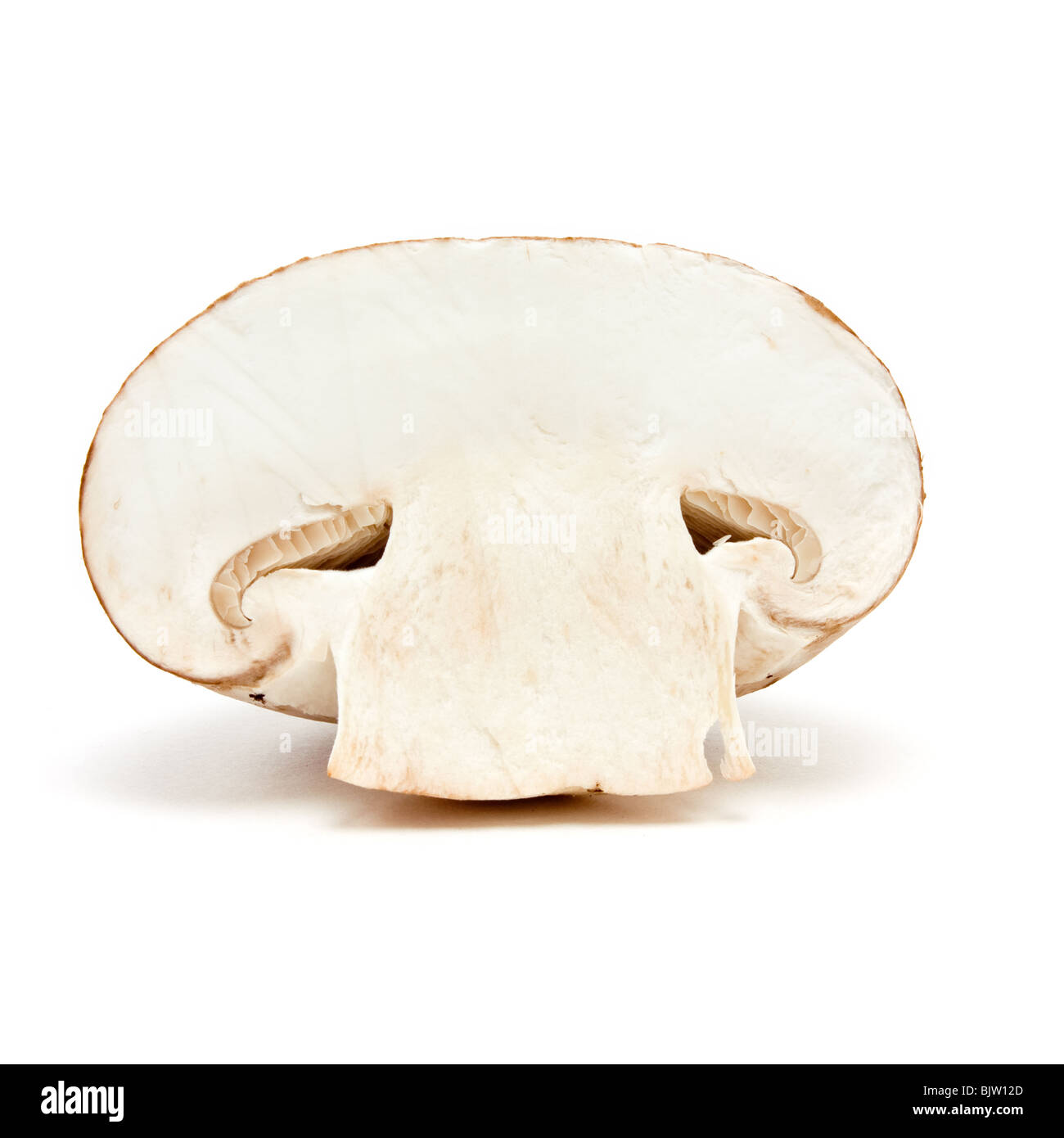 Tranches de champignons à partir de la Châtaigne vue faible contre isolé sur fond blanc. Banque D'Images