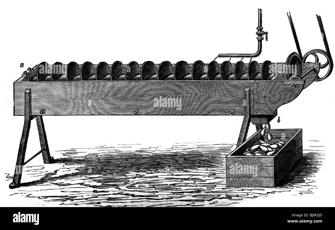 nourriture, sucre, extraction de betteraves à sucre, machine à laver, gravure en bois, xixe siècle, historique, historique, betteraves à sucre, saccharose, Banque D'Images