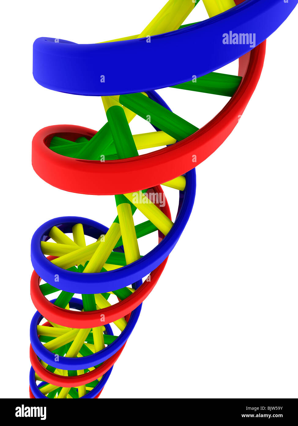 Modèle en double hélice de l'ADN Banque D'Images