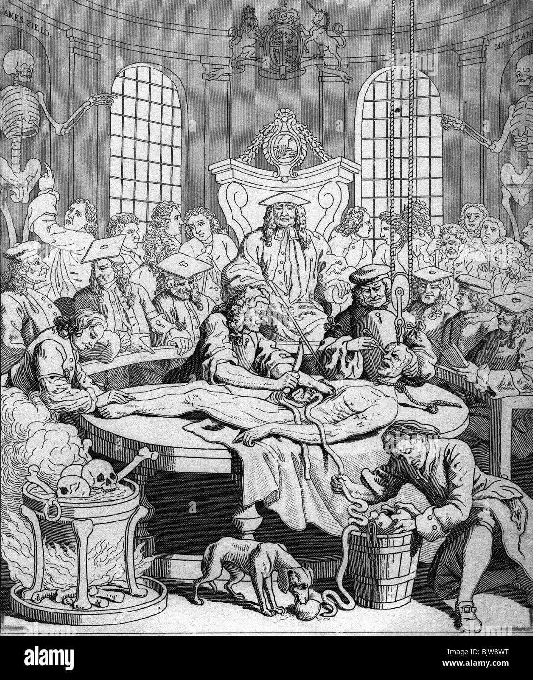 Médecine, anatomie, secte, dissection d'un criminel exécuté, caricature, gravure en cuivre par William Hogarth, XVIIIe siècle, historique, dissection, table, médecin, médecin, médecin /M.D./, médic , médecins, médecins, médecine, examen postmortem, postmortem, autopsie, examen post mortem, post mortem, post mortem, PM, autopsies, autopsies, autopsies, autopsies, autopsies, autopsies, autopsies, autopsies, autopsies, autopsies, autopsies, autopsies, auto Banque D'Images