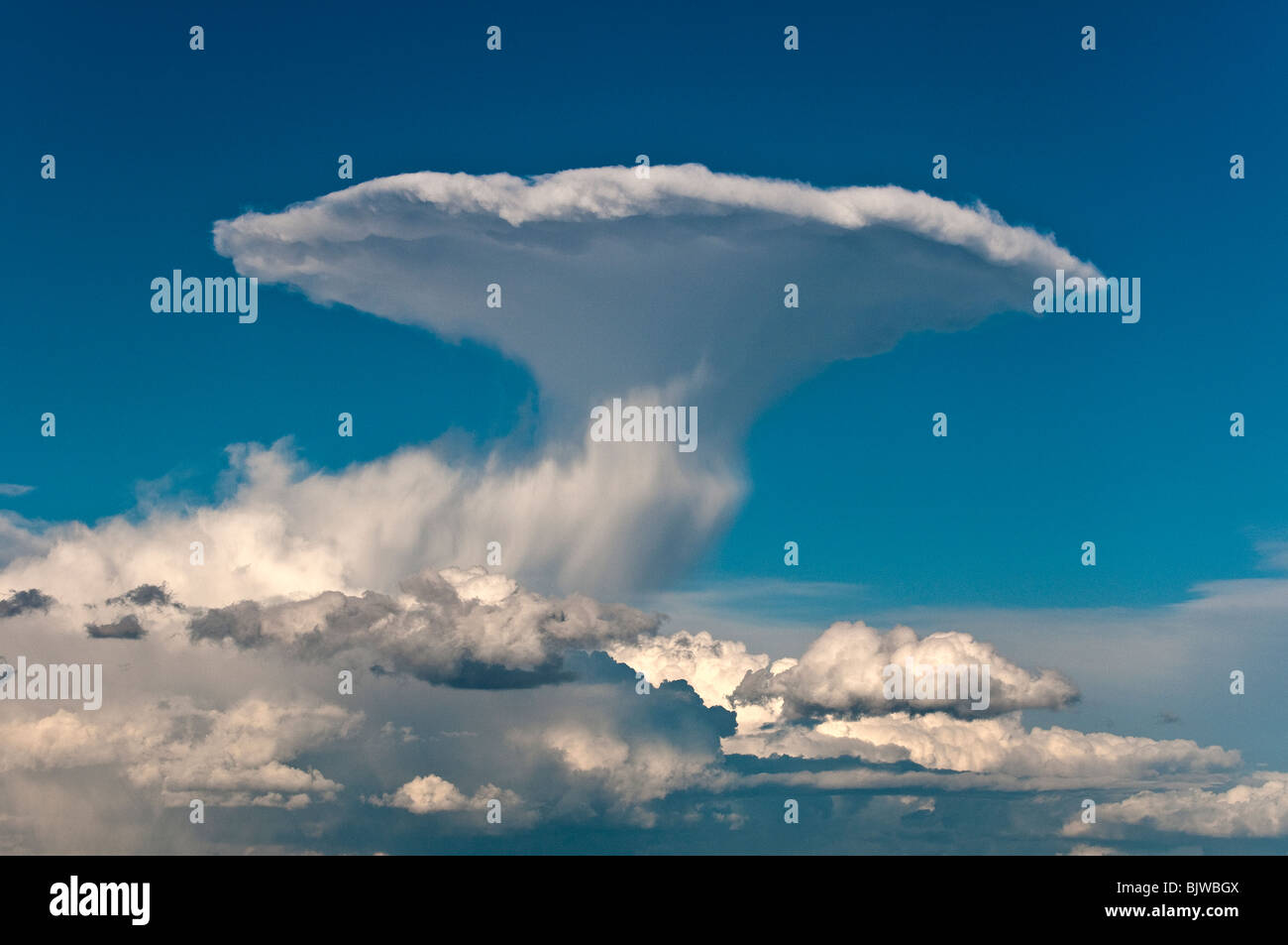 Distant Thunder Cloud (Cumulonimbus incus) éclatent dans le ciel près de Sienne, en Toscane, Italie Banque D'Images