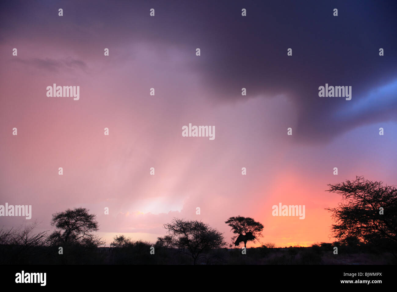 La tombée de la lumière se reflète sur les nuages de tempête dans la savane africaine Banque D'Images