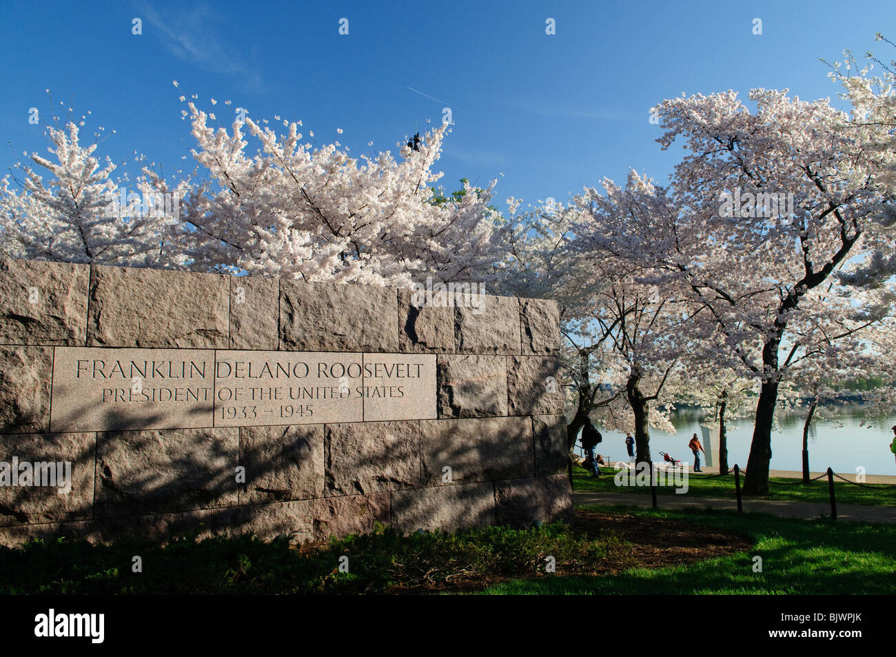 WASHINGTON DC, États-Unis — certains des 3700 cerisiers en fleurs fleurissent au début du printemps autour du Tidal Basin près de l'entrée sud du Franklin Delano Roosevelt Memorial à Washington DC. Banque D'Images