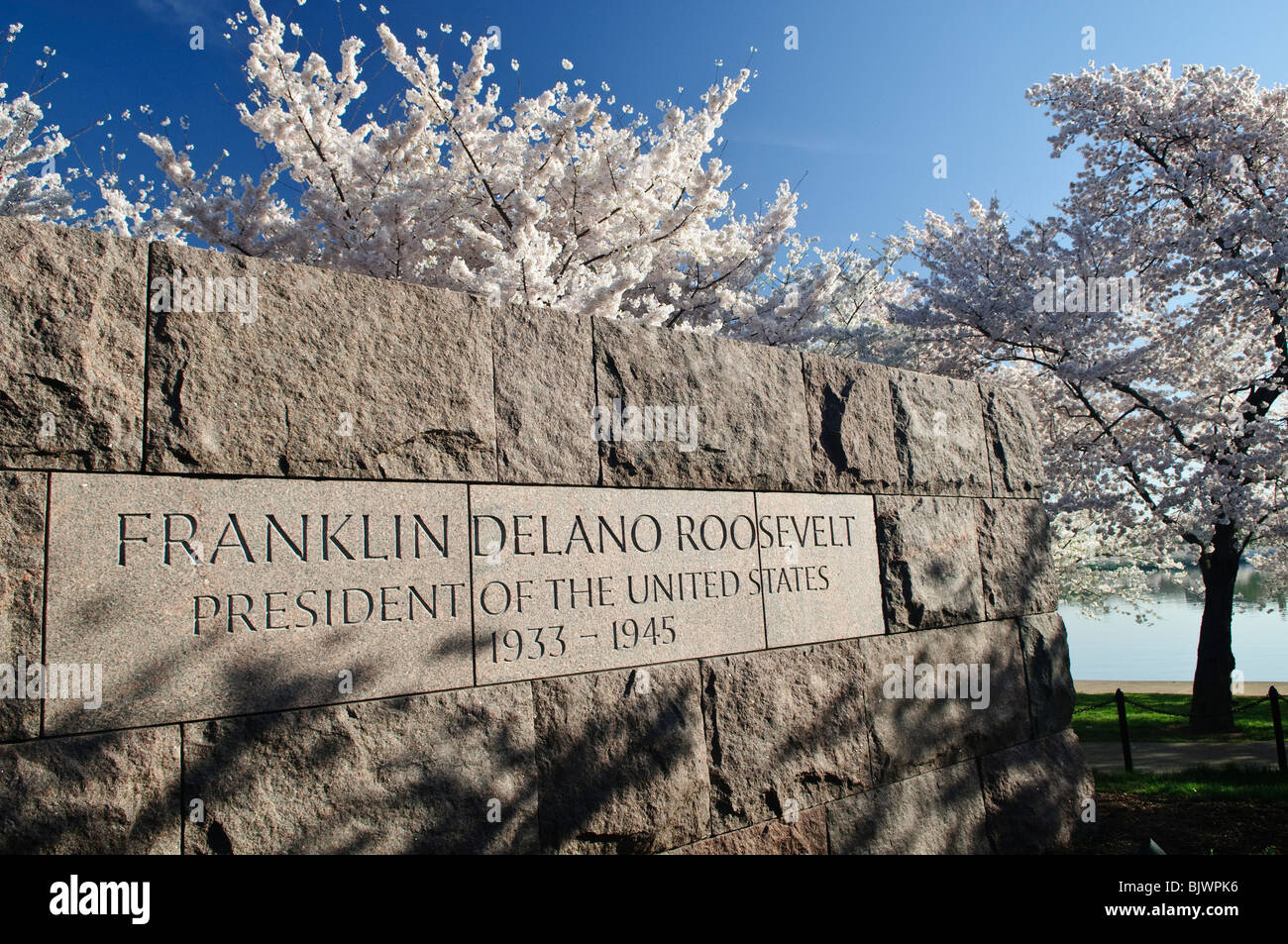 WASHINGTON DC — les cerisiers fleurissent le long du Tidal Basin, encadrant un mur de pierre inscrit au Franklin Delano Roosevelt Memorial. Le mémorial honore le 32e président des États-Unis, et les arbres, un cadeau du Japon en 1912, sont au centre du festival annuel national des cerisiers en fleurs. Banque D'Images WASHINGTON DC — les cerisiers fleurissent le long du Tidal Basin, encadrant un mur de pierre inscrit au Franklin Delano Roosevelt Memorial. Le mémorial honore le 32e président des États-Unis, et les arbres, un cadeau du Japon en 1912, sont au centre du festival annuel national des cerisiers en fleurs. Banque D'Images