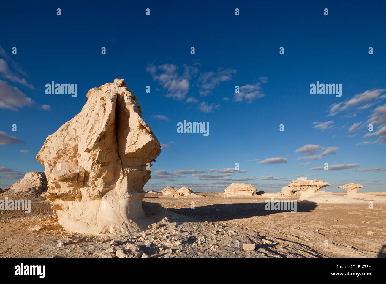 Roches calcaires dans le désert blanc, Farafra oasis, Egypte Banque D'Images