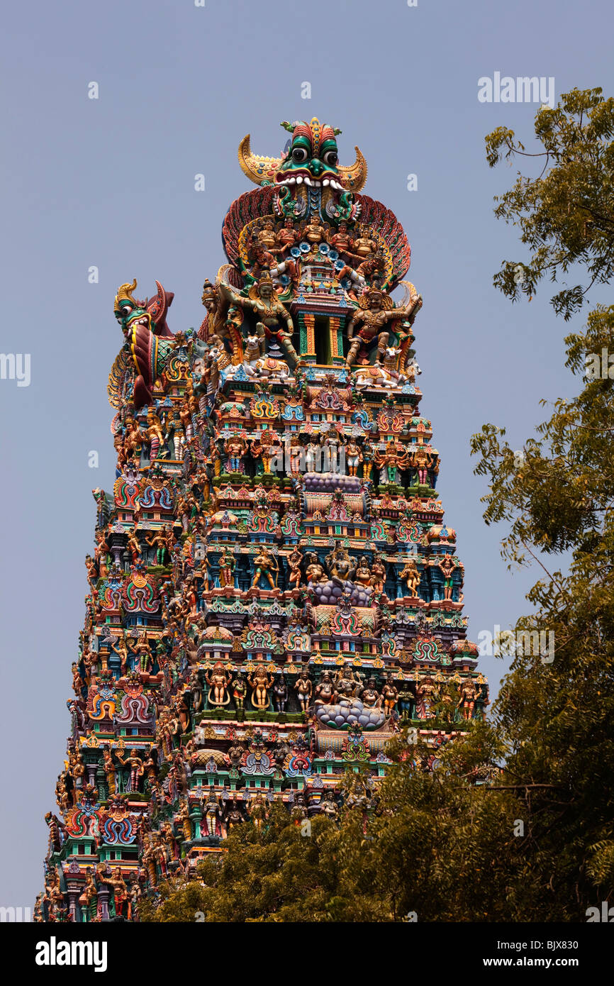 L'Inde, le Tamil Nadu, Madurai, Sri Meenakshi Temple gopuram de l'ouest s'élevant au-dessus des arbres environnants Banque D'Images