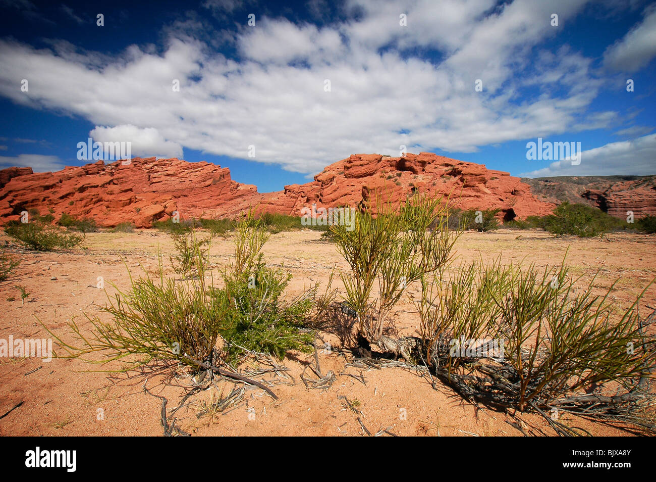 Quebrada de Cafayate, Argentine Banque D'Images