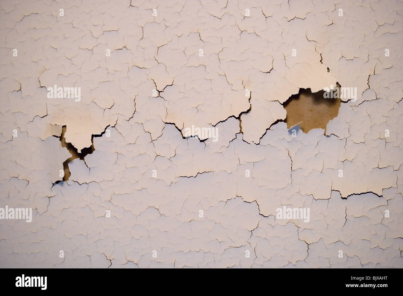 Fissures de la peinture sur un mur intérieur d'une maison. Banque D'Images