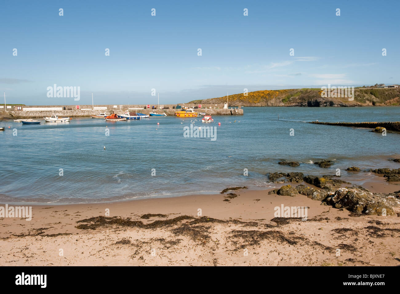 Cemaes Bay Anglesey au nord du Pays de Galles UK Banque D'Images