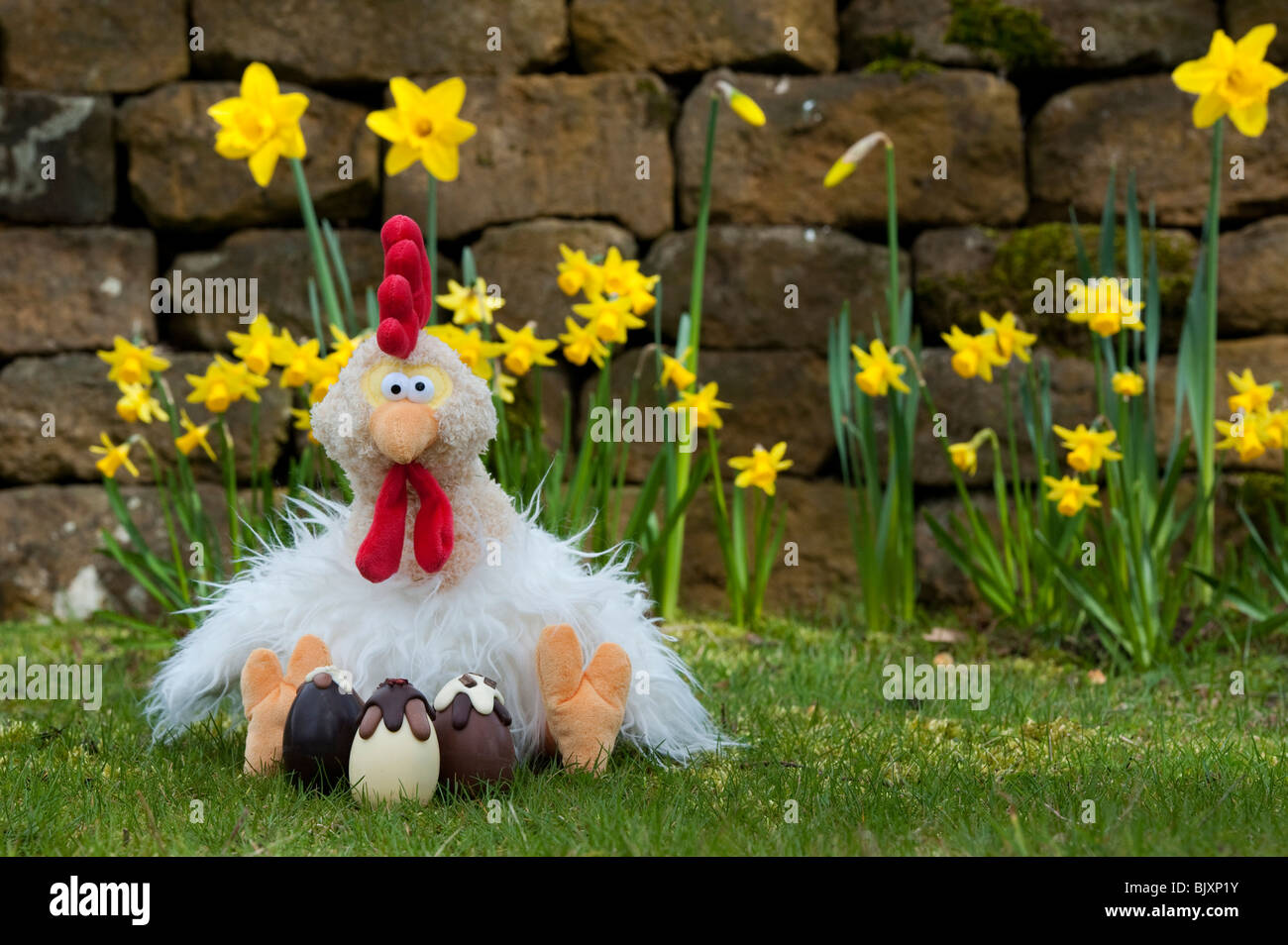 Poulet de Pâques moelleux chocolat et adorable en peluche les oeufs de pâques. UK Banque D'Images