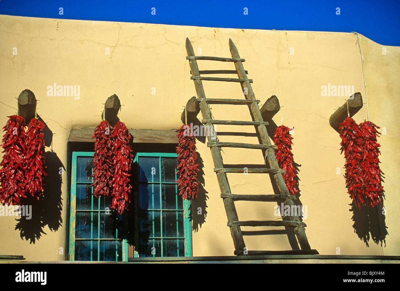 Chili ristras accrocher sur la plaza à Taos, New Mexico, USA Banque D'Images