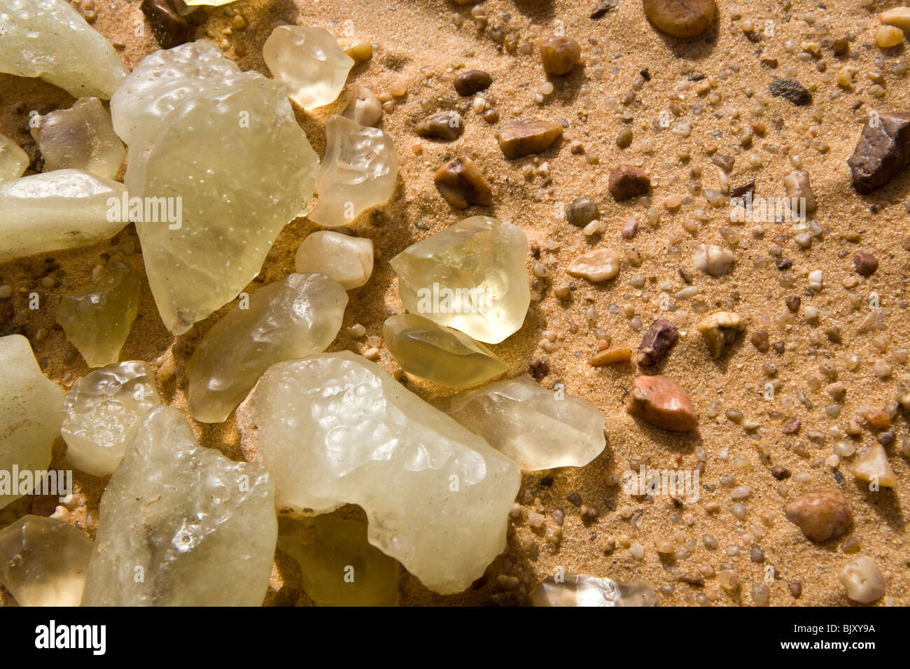 Des fragments de verre de silice sur le sol du désert dans un corridor  interdunaires de La Grande Mer de Sable, au nord du plateau du Gilf Kebir,  Egypte Photo Stock -