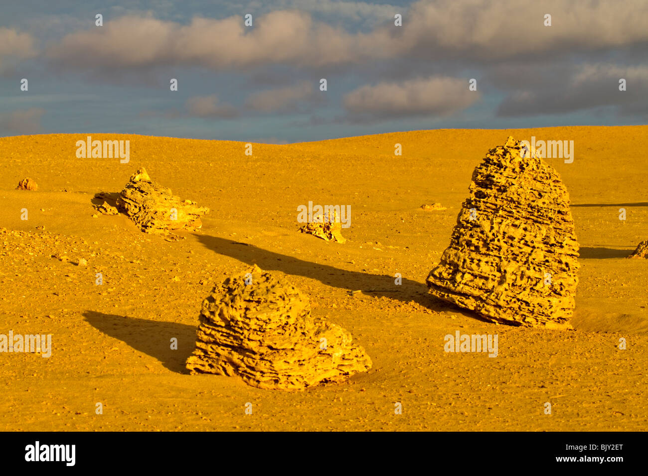 Les Pinnacles, le Parc National de Nambung, dans l'ouest de l'Australie. Des formations de roche calcaire érodée dans un désert de sable Banque D'Images