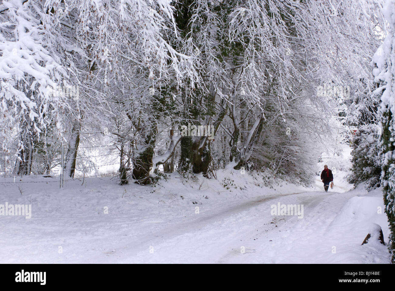 Marche dans la neige route de campagne hiver froid Buckinghamshire Chilterns Banque D'Images