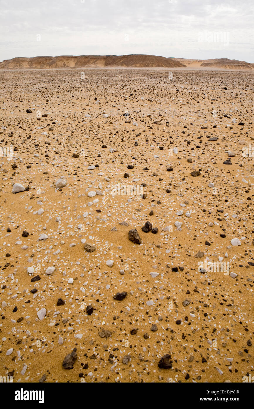 Close up de sol du désert, en route vers Gilf Kebir, Désert occidental de l'Égypte Banque D'Images