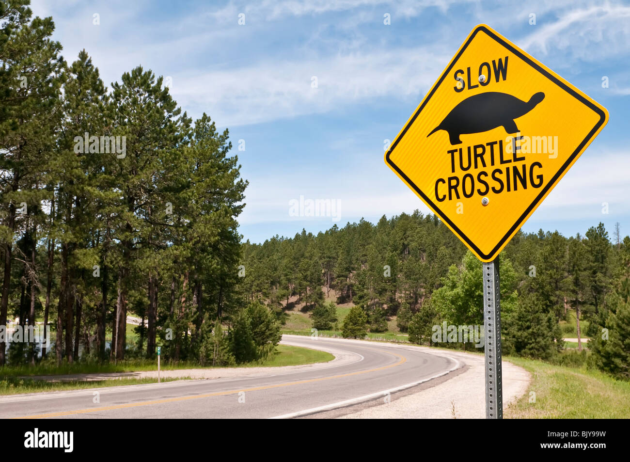 Turtle crossing sign à Stockade Lake, Custer State Park, South Dakota, USA Banque D'Images