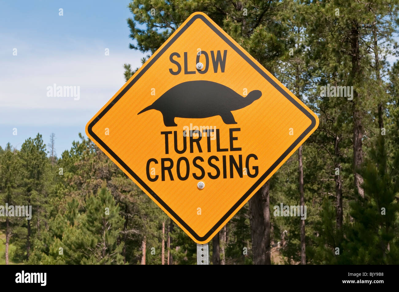 Turtle crossing sign à Stockade Lake, Custer State Park, South Dakota, USA Banque D'Images