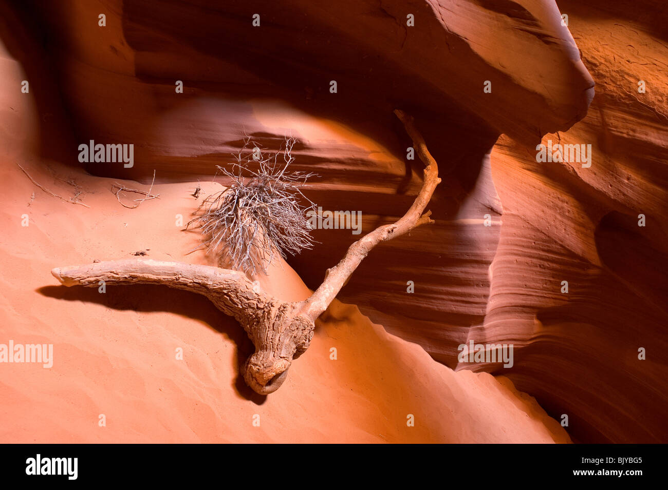 Un Slot Canyon dans l'Arizona sur l'Antilope appelée Nation Navajo Land Banque D'Images