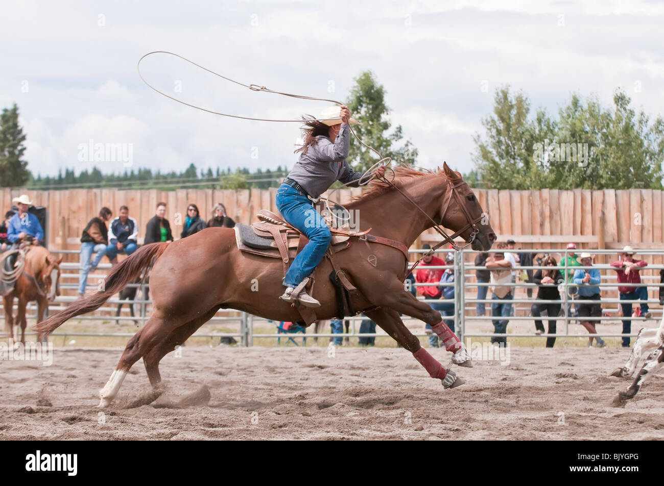 Cowgirl, Calf roping au T'suu Tina rodeo, Bragg Creek, Alberta, Canada Banque D'Images