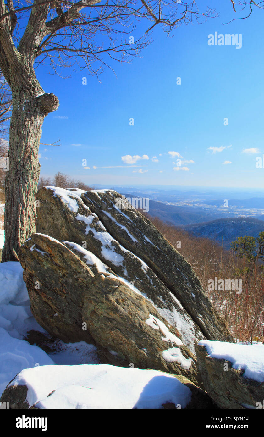 Donnent sur la montagne Hazel, Shenandoah National Park, Virginia, USA Banque D'Images