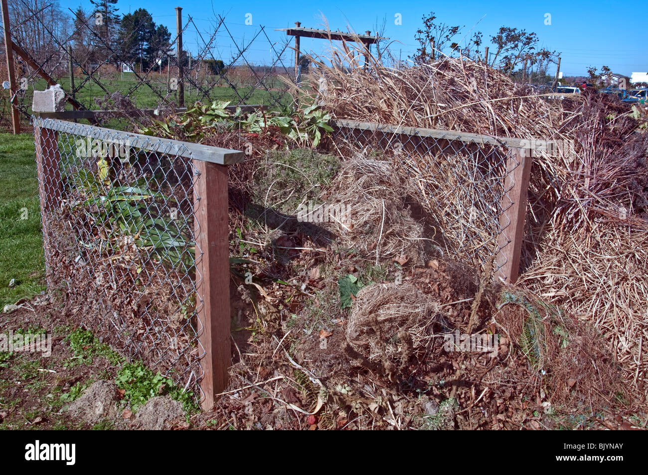 Cette photo montre deux composteurs de jardin au début du printemps avec les débris végétaux empilés pour recycler et de jardinage écologique. Banque D'Images
