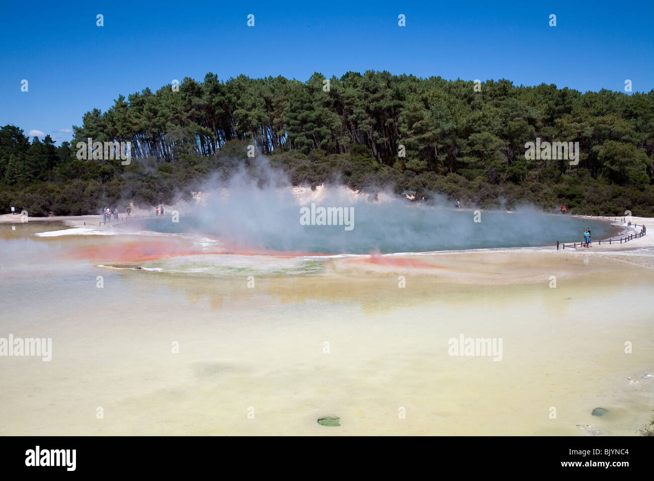 L'eau riche en minéraux de débordement Piscine Champagne Wai-O-Tapu Thermal Wonderland entre Taupo et Rotorua Nouvelle Zélande Banque D'Images