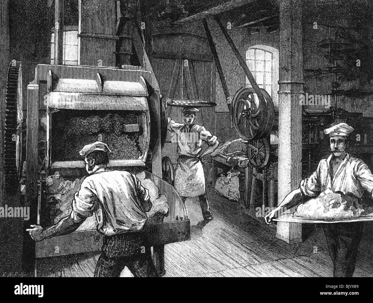 personnes, professions, boulanger, boulangerie, gravure en bois, 1884, Banque D'Images